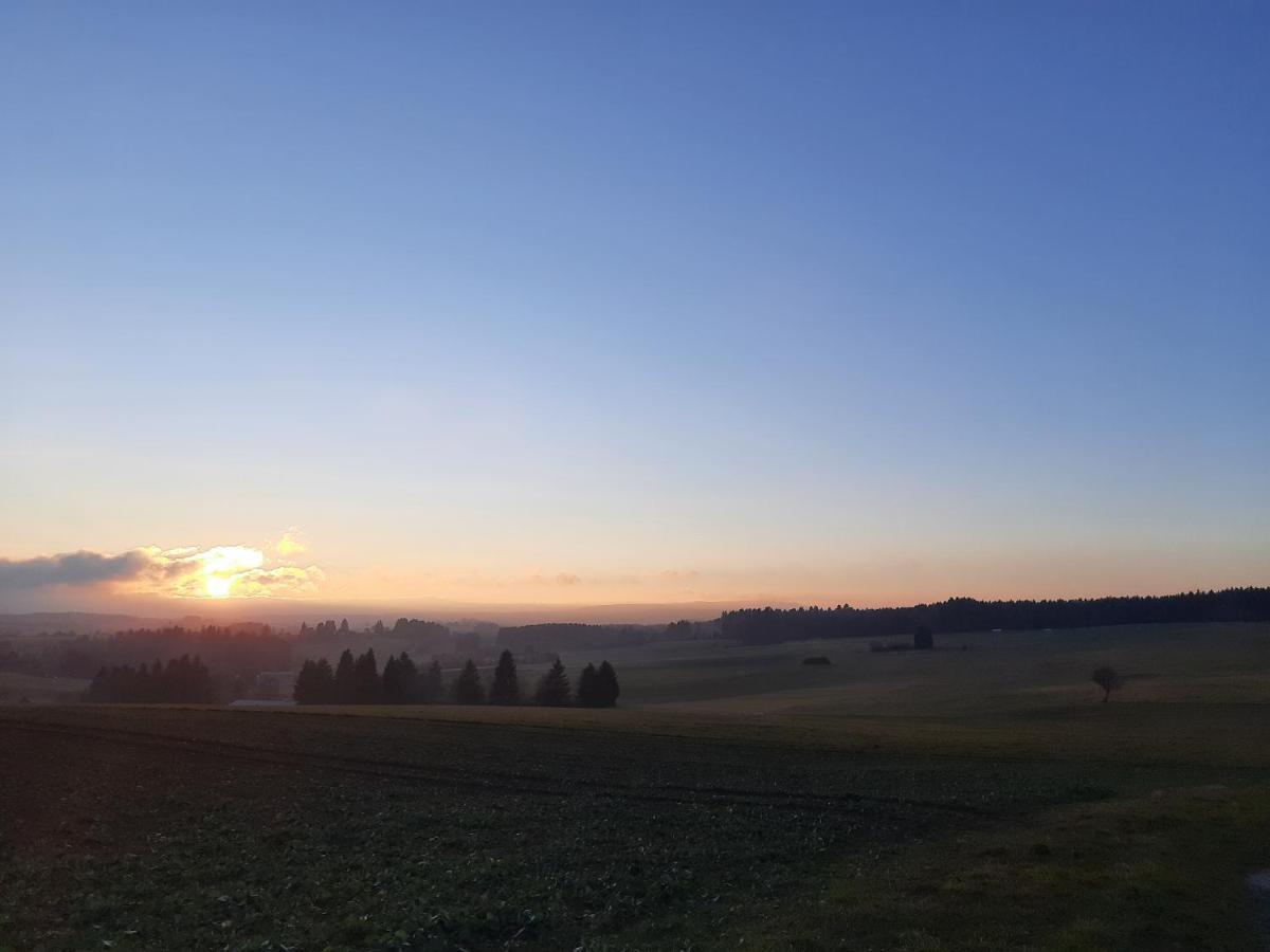 Schwarzwaldblick 1-Zimmer Appartement Löffingen Eksteriør bilde