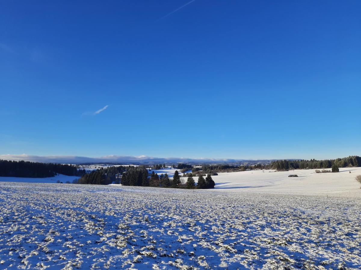 Schwarzwaldblick 1-Zimmer Appartement Löffingen Eksteriør bilde